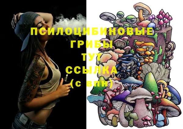 сатива Алзамай